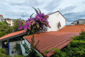 House Zeljko
